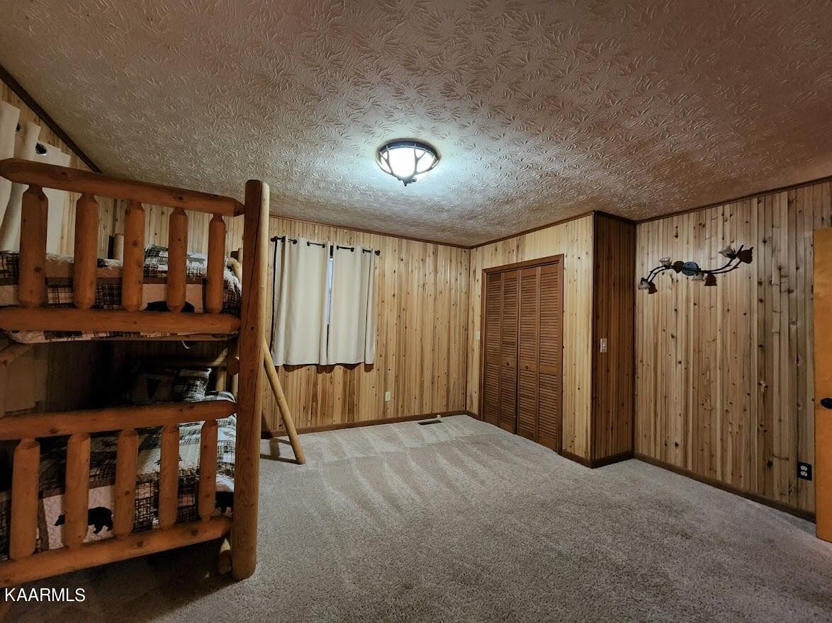 3390 Rocky Ridge Road Cosby, TN 37722 - Photo 19 of 45