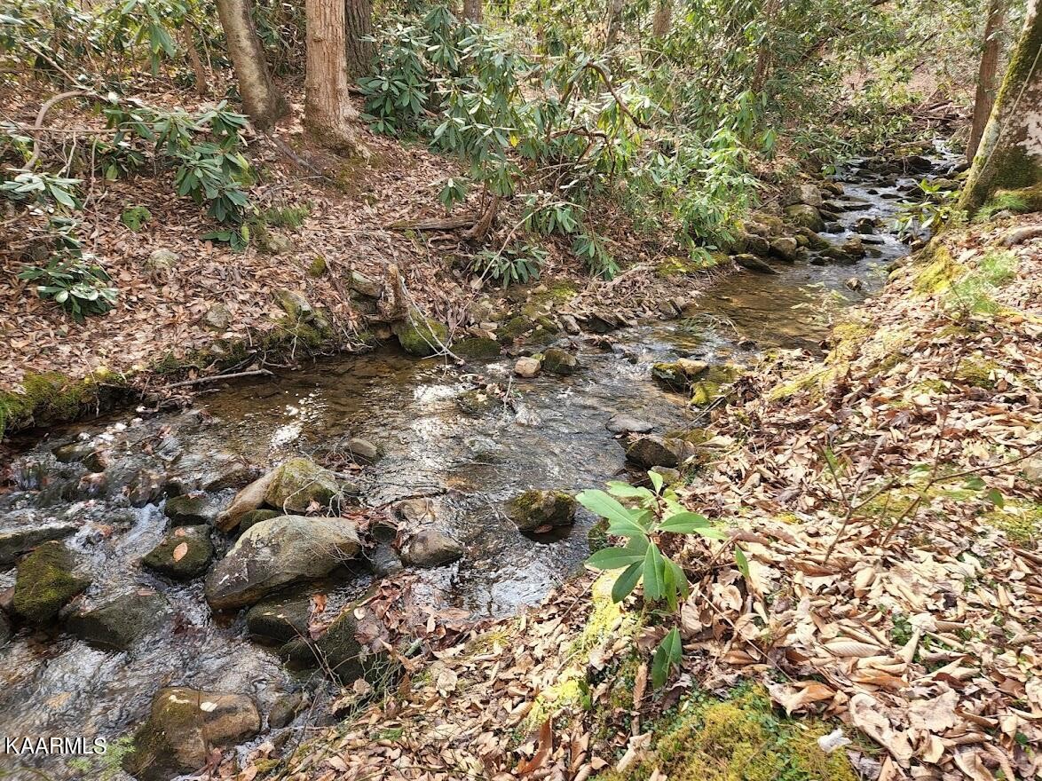 3390 Rocky Ridge Road Cosby, TN 37722 - Photo 27 of 45 a view of a yard with a tree