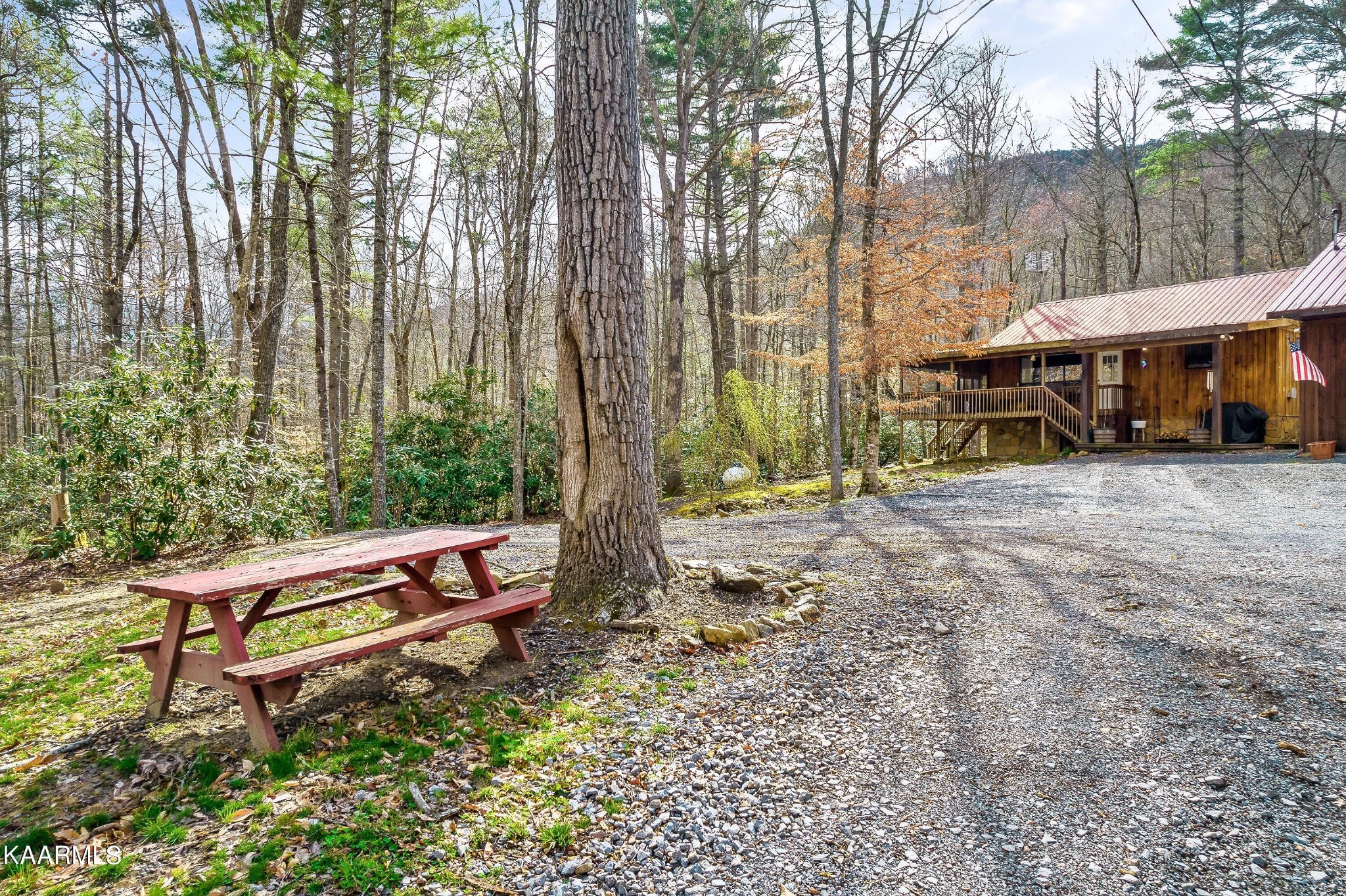 3390 Rocky Ridge Road Cosby, TN 37722 - Photo 45 of 45 a view of a bench in a backyard