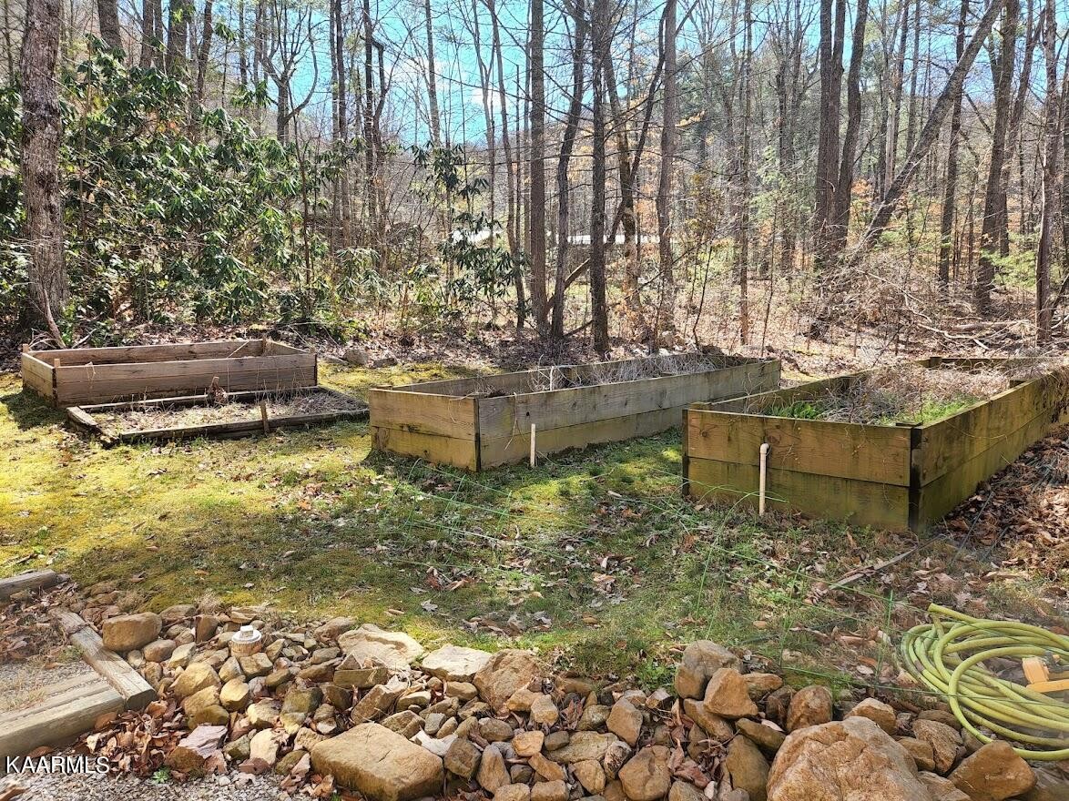 3390 Rocky Ridge Road Cosby, TN 37722 - Photo 7 of 45 a view of a garden with an outdoor space