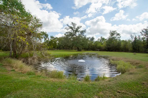 a view of a lake with green space