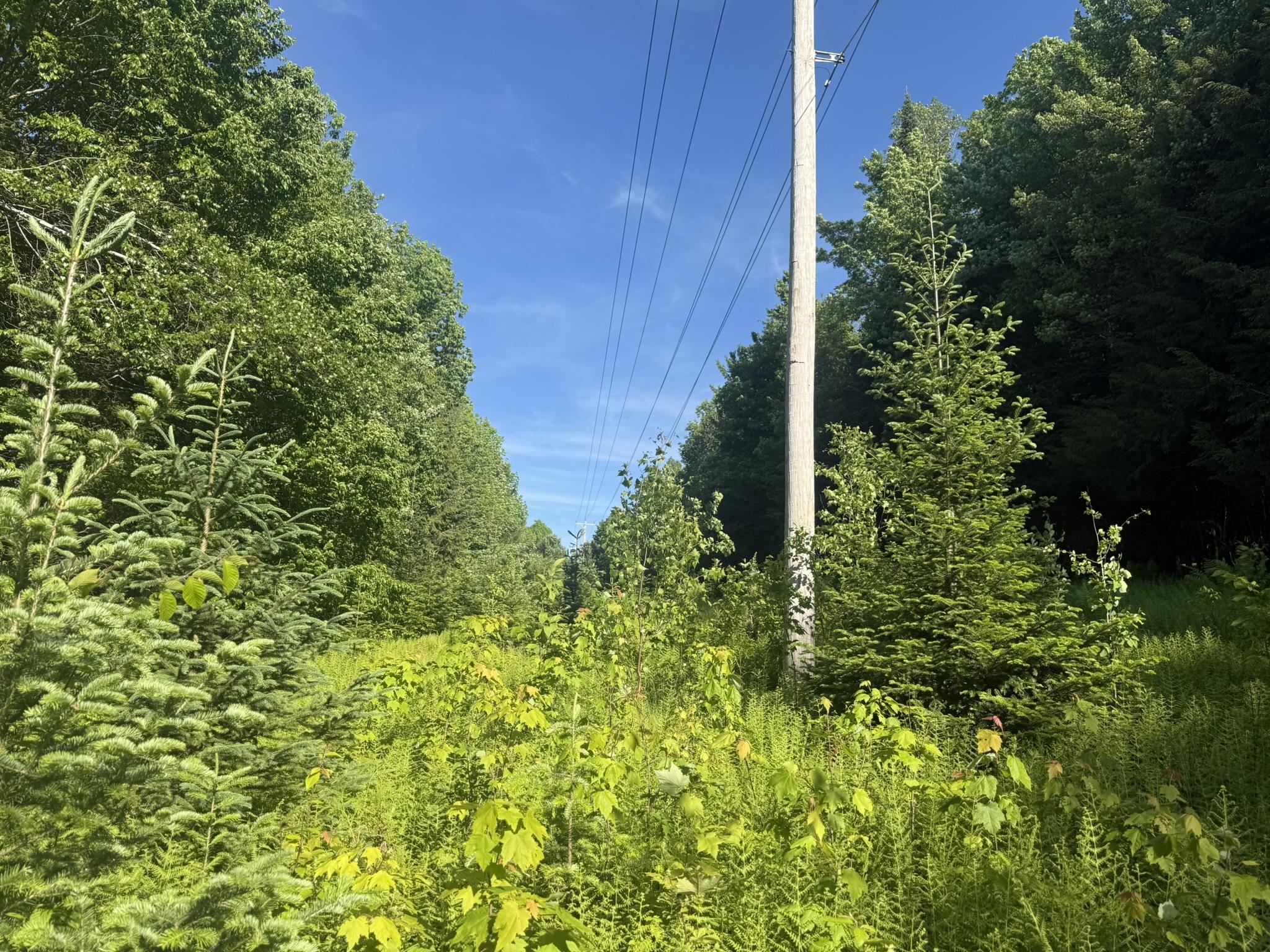0 Roaring Brook Road Barton, VT 05822 - Photo 10 of 18