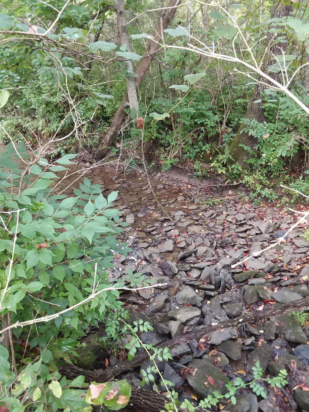 5 Puckett Road Lawrenceburg, KY 40342 - Photo 7 of 9 Photo 7