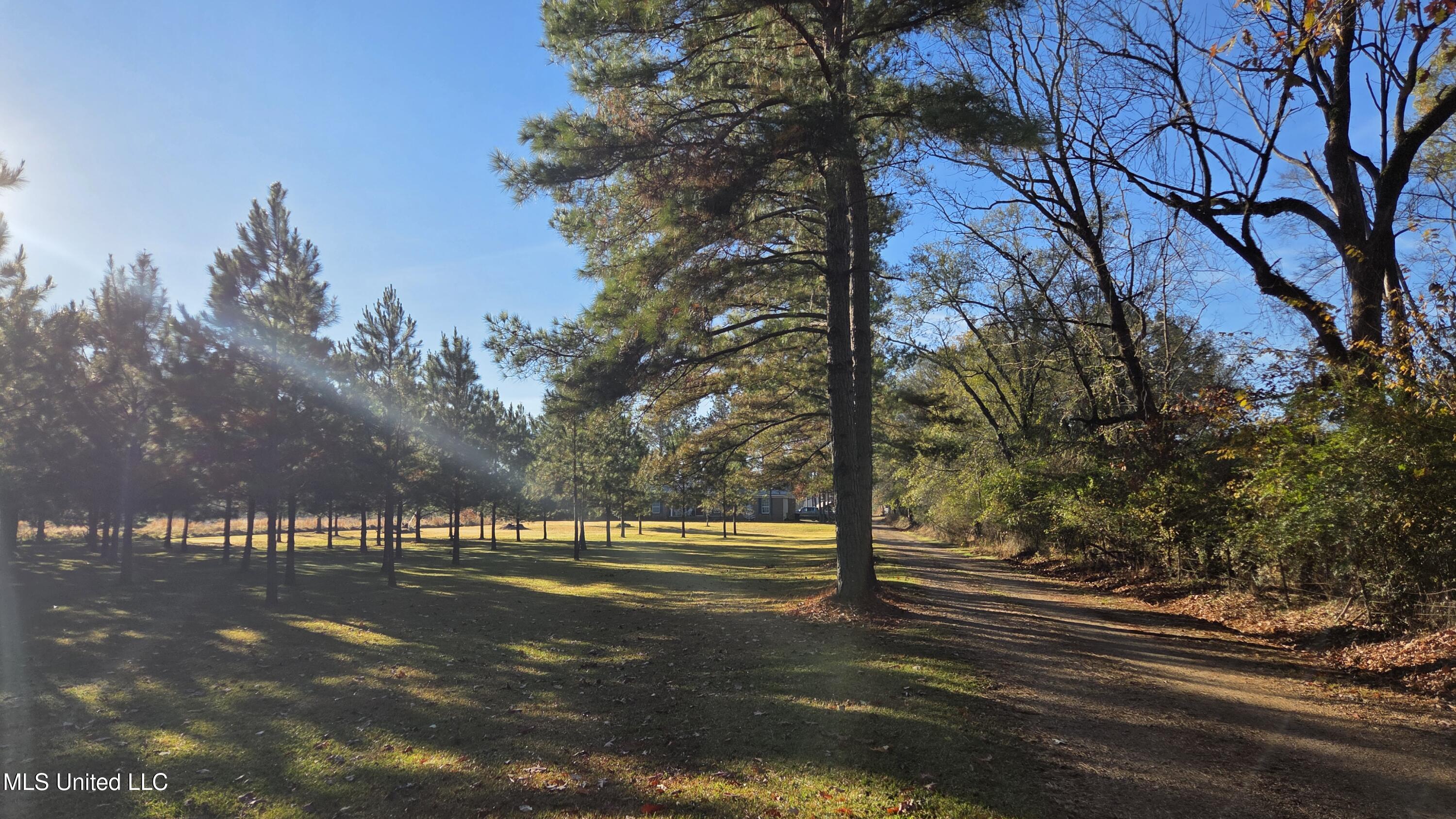 4839 Cayuga Road Utica, MS 39175 - Photo 2 of 14 20251211_082405