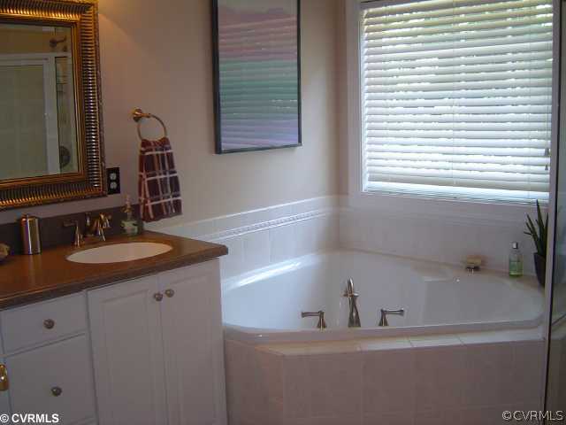 13906 North Point Road Midlothian, VA 23112 - Photo 8 of 12 a bathroom with a sink and a bathtub