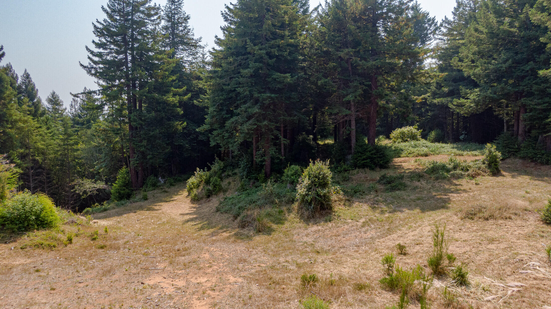 1180 Fox Farm Road Trinidad, CA 95570 - Photo 13 of 36