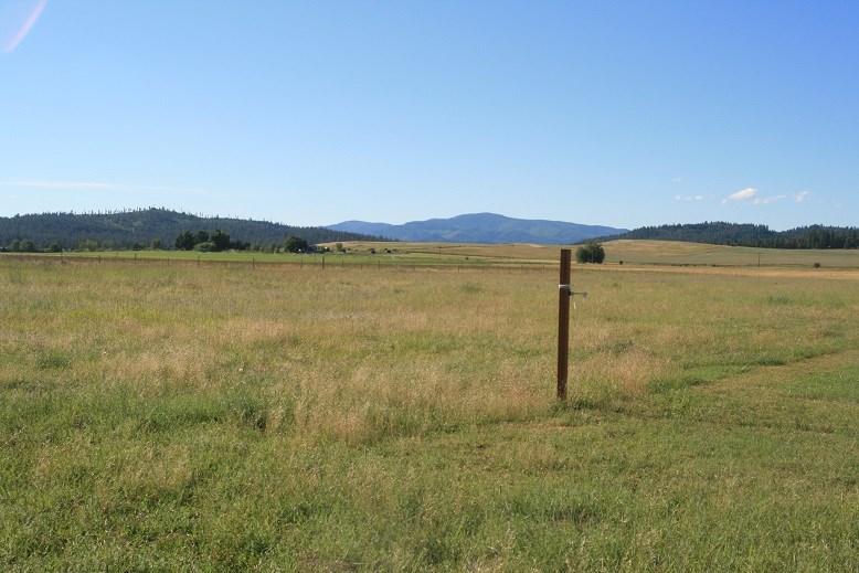 6302 East Allen Road Elk, WA 99009 - Photo 16 of 17
