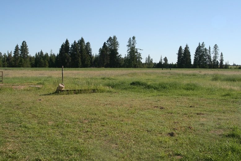 6302 East Allen Road Elk, WA 99009 - Photo 17 of 17
