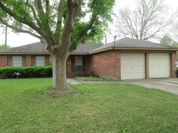 a backyard of a house with plants and large tree