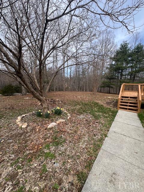 150 Stallion Court Amherst, VA 24521 - Photo 5 of 26 a view of a yard with trees