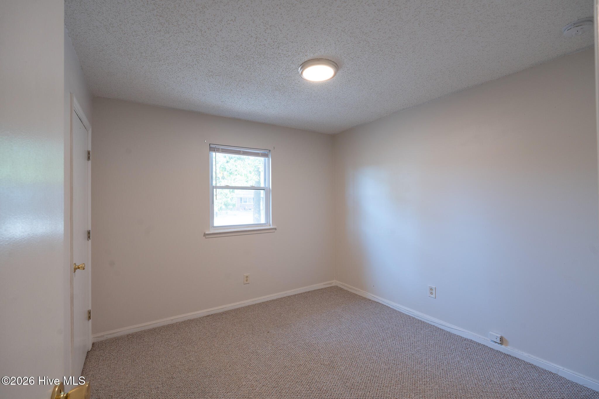 341 Lancaster Road Wilmington, NC 28409 - Photo 22 of 30 DSC02667