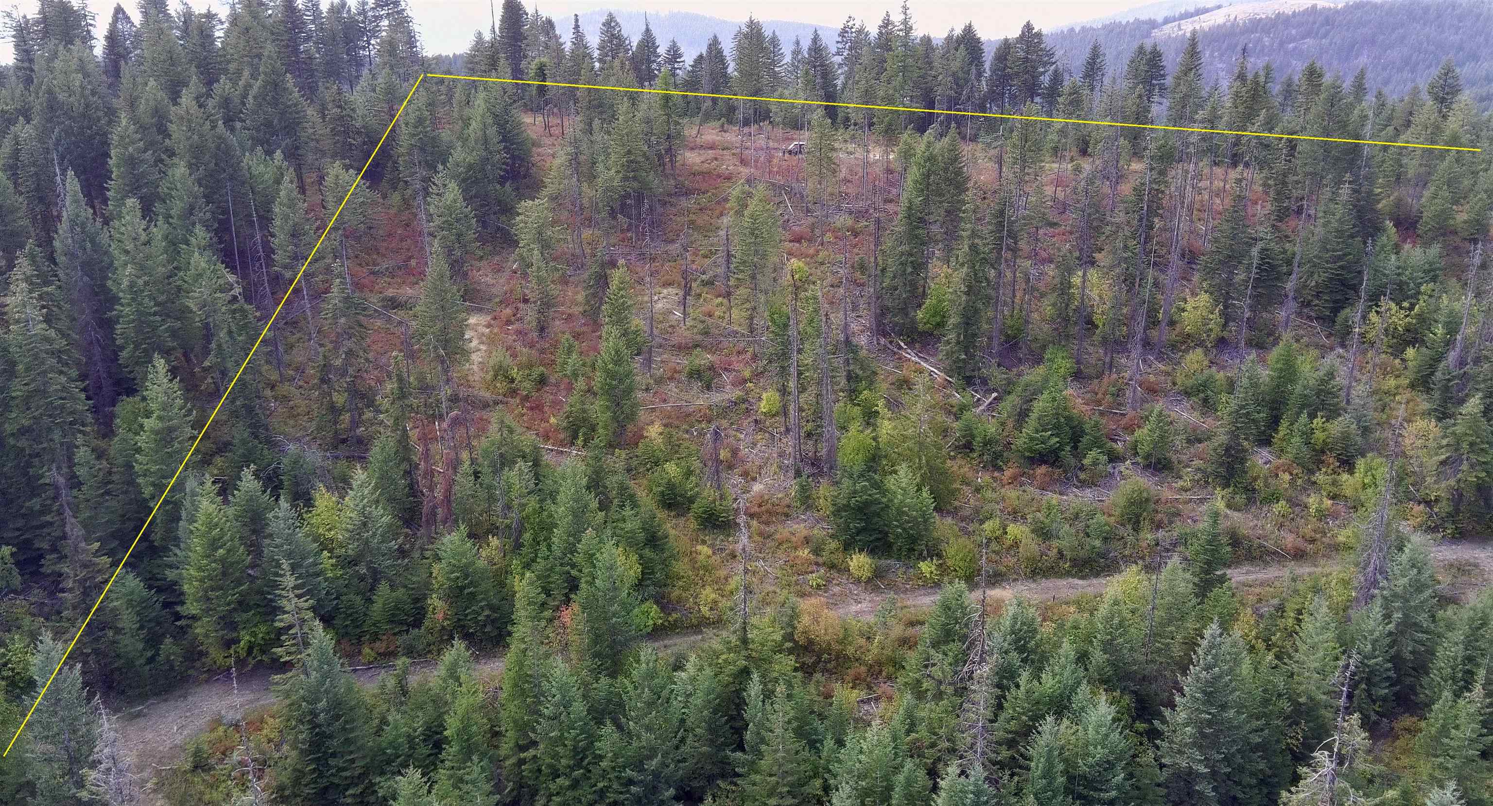 2784 Red Tail Way Colville, WA 99114 - Photo 3 of 9