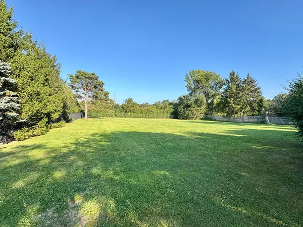 a view of yard with large trees and green space