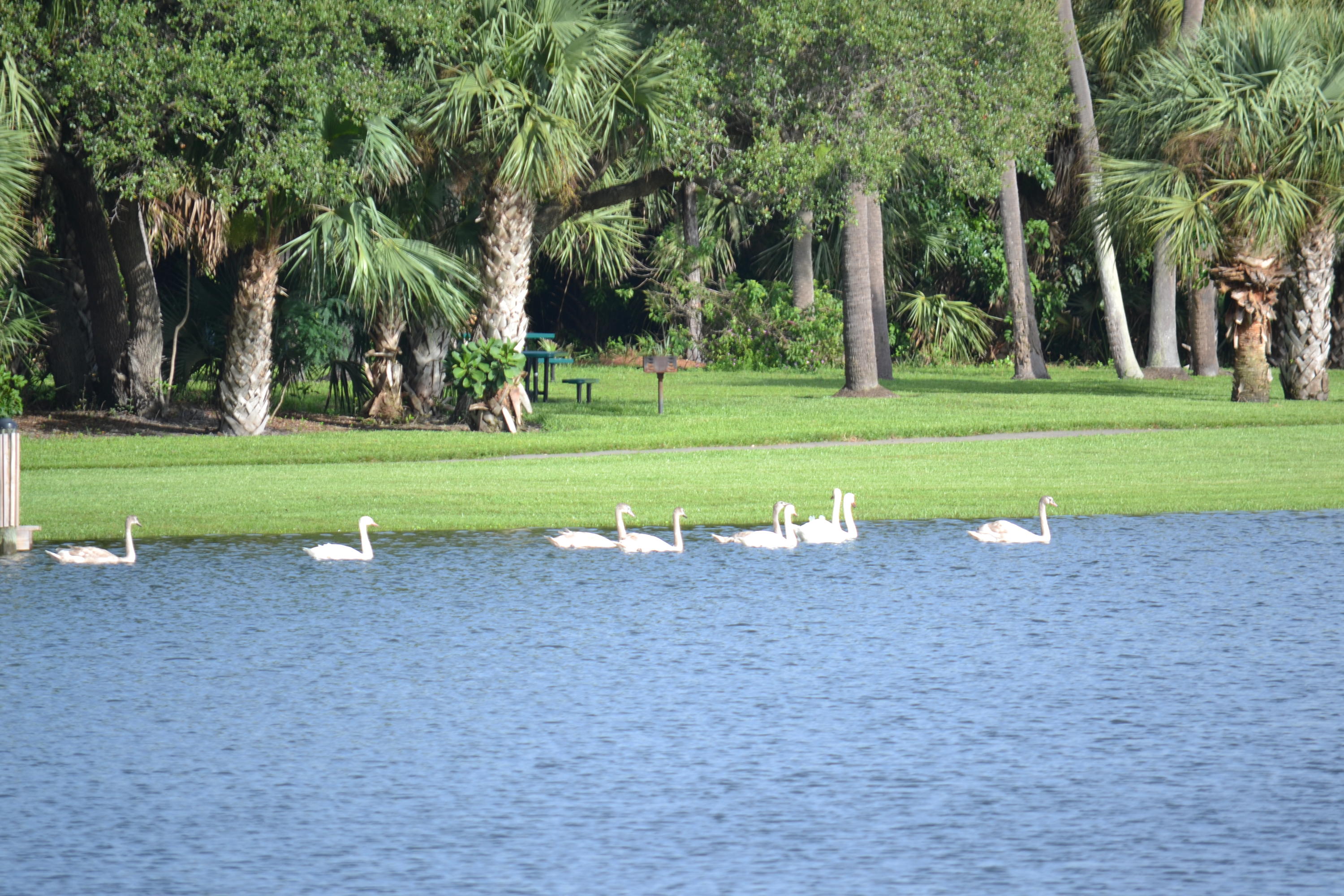 406 Cottonwood Place Boca Raton, FL 33431 - Photo 25 of 32 5-Acre Wildlife Preserve