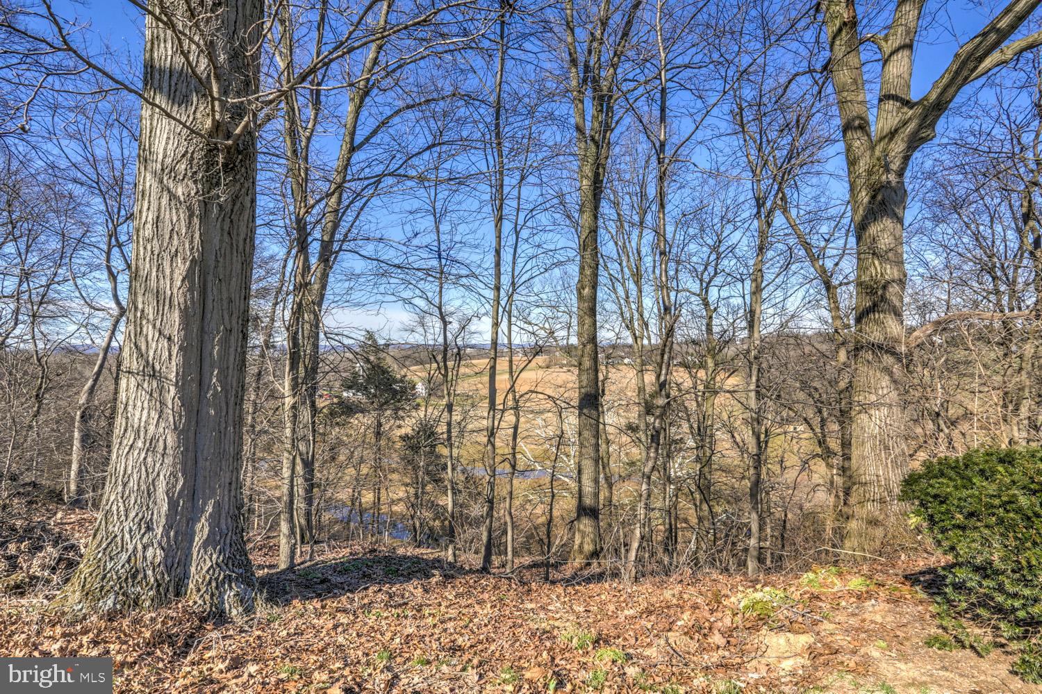 6 Arlin Circle Lititz, PA 17543 - Photo 16 of 52