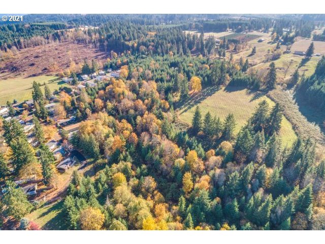 15634 South Fawn View Way Molalla, OR 97038 - Photo 7 of 9