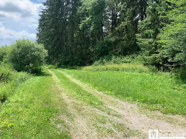 $280,000 | 905 Waterman Road, Ellington, NY 14747