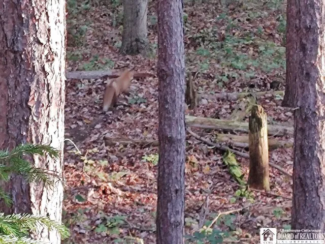 $280,000 | 905 Waterman Road, Ellington, NY 14747