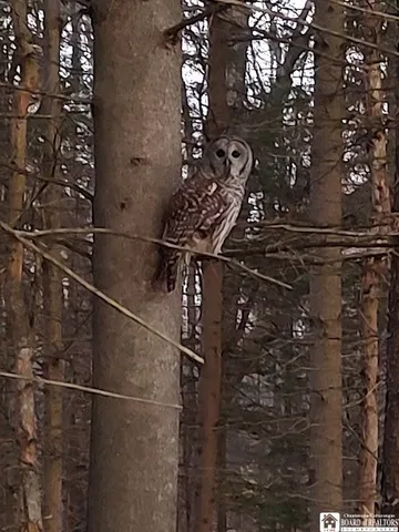 $280,000 | 905 Waterman Road, Ellington, NY 14747