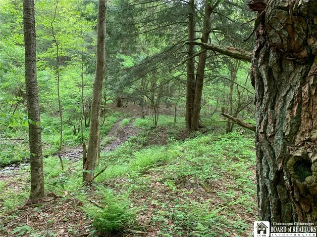 $280,000 | 905 Waterman Road, Ellington, NY 14747