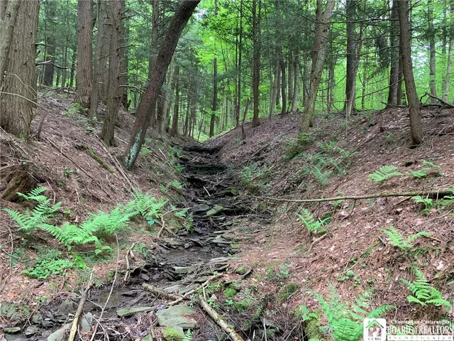 $280,000 | 905 Waterman Road, Ellington, NY 14747