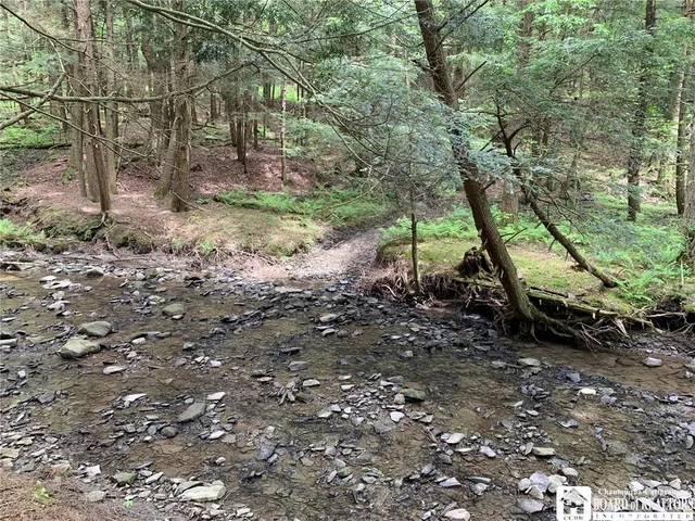 $280,000 | 905 Waterman Road, Ellington, NY 14747