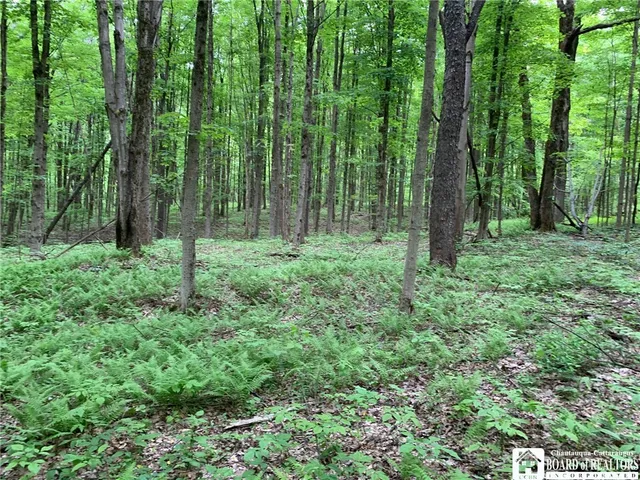 $280,000 | 905 Waterman Road, Ellington, NY 14747