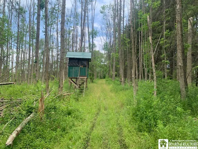 $280,000 | 905 Waterman Road, Ellington, NY 14747