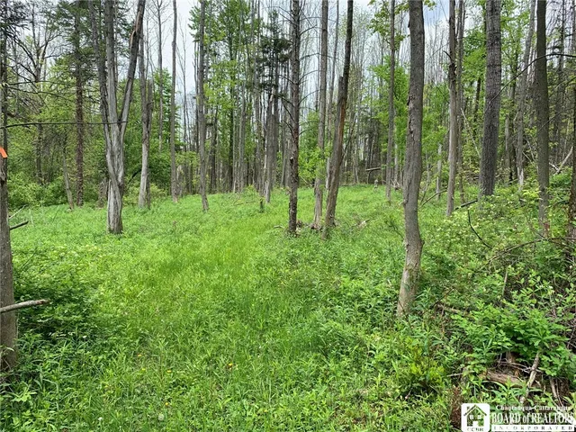 $280,000 | 905 Waterman Road, Ellington, NY 14747