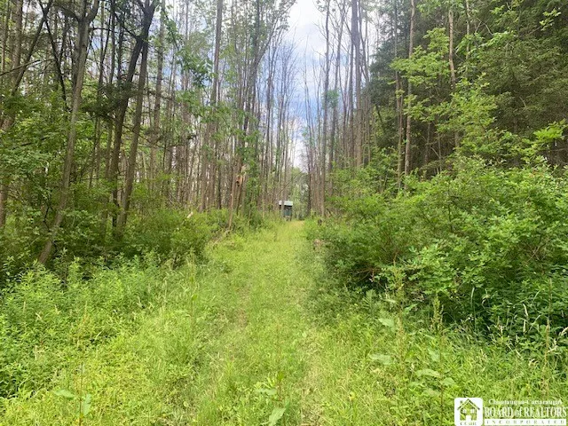 $280,000 | 905 Waterman Road, Ellington, NY 14747