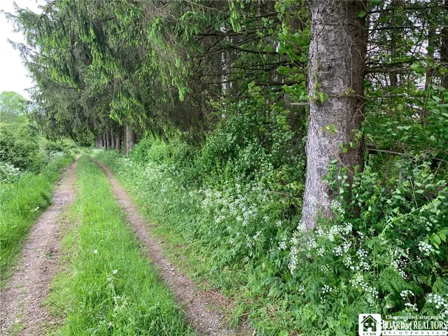 $280,000 | 905 Waterman Road, Ellington, NY 14747