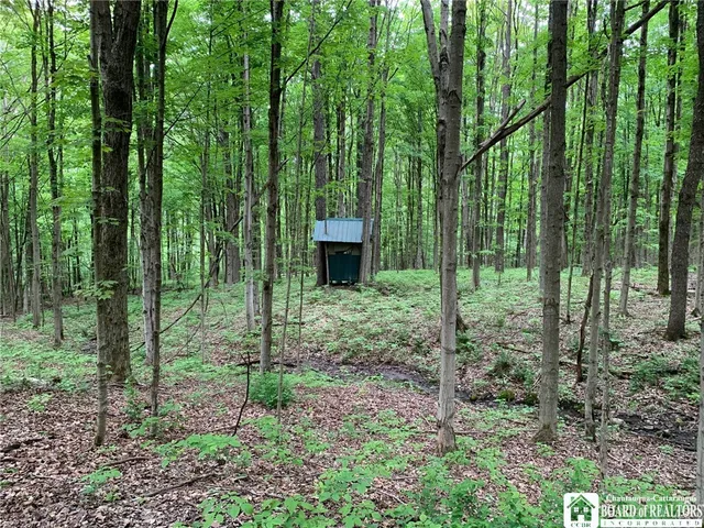 $280,000 | 905 Waterman Road, Ellington, NY 14747