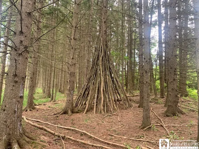 $280,000 | 905 Waterman Road, Ellington, NY 14747