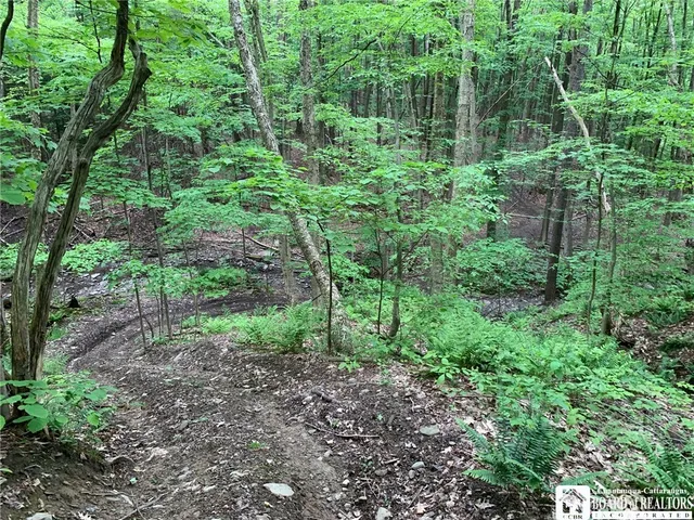 $280,000 | 905 Waterman Road, Ellington, NY 14747