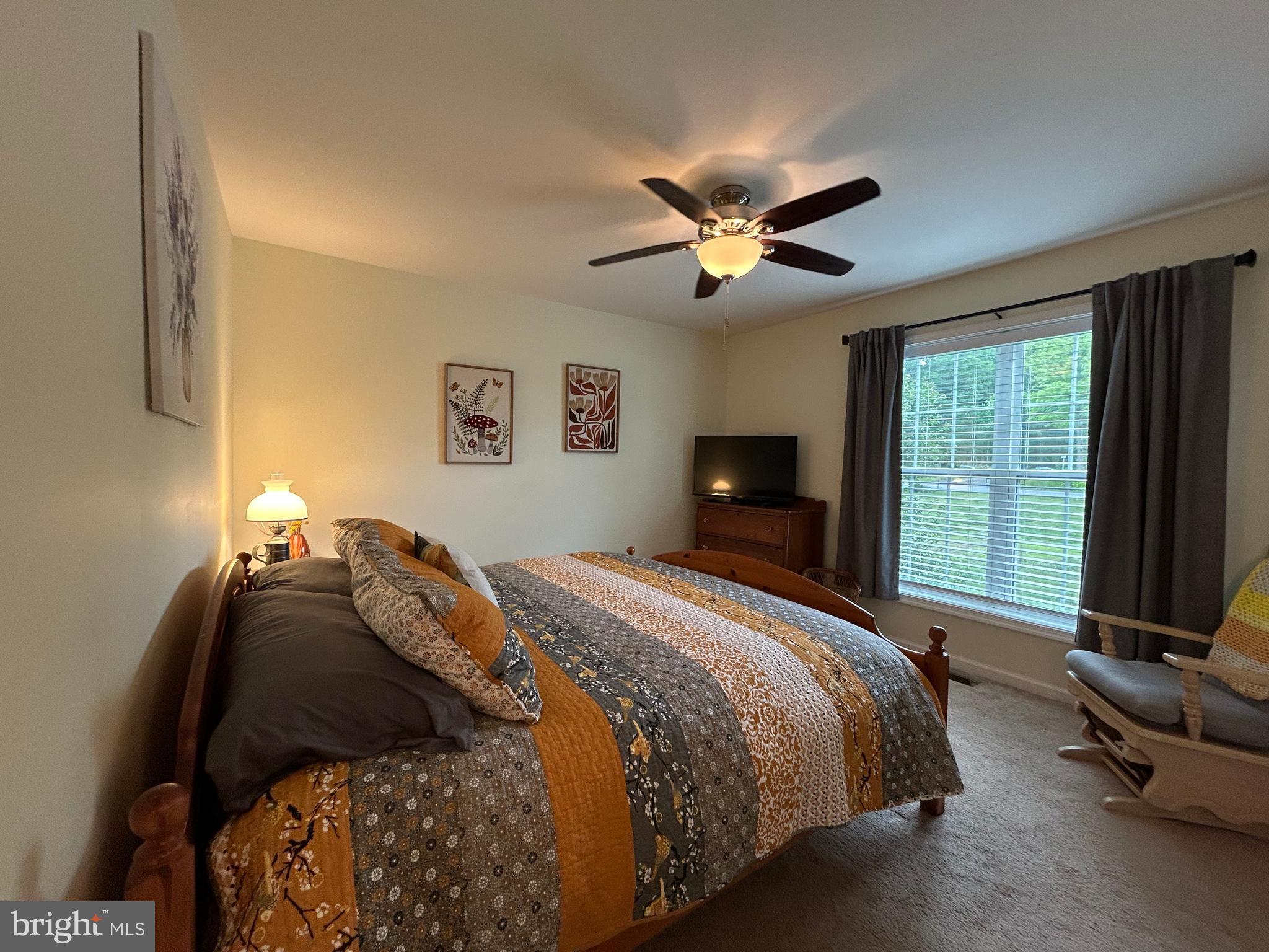 20346 Cool Spring Road Milton, DE 19968 - Photo 53 of 67 a bed room with a bed and a tv