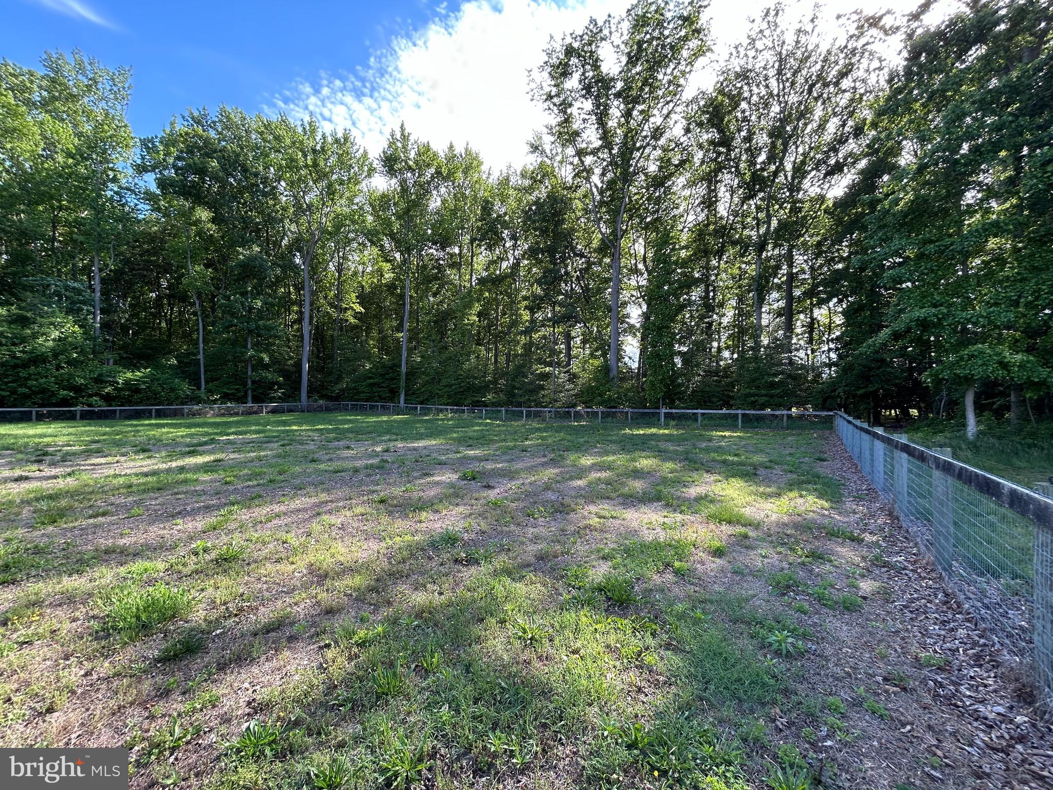 20346 Cool Spring Road Milton, DE 19968 - Photo 64 of 67 a backyard of a house with lots of green space