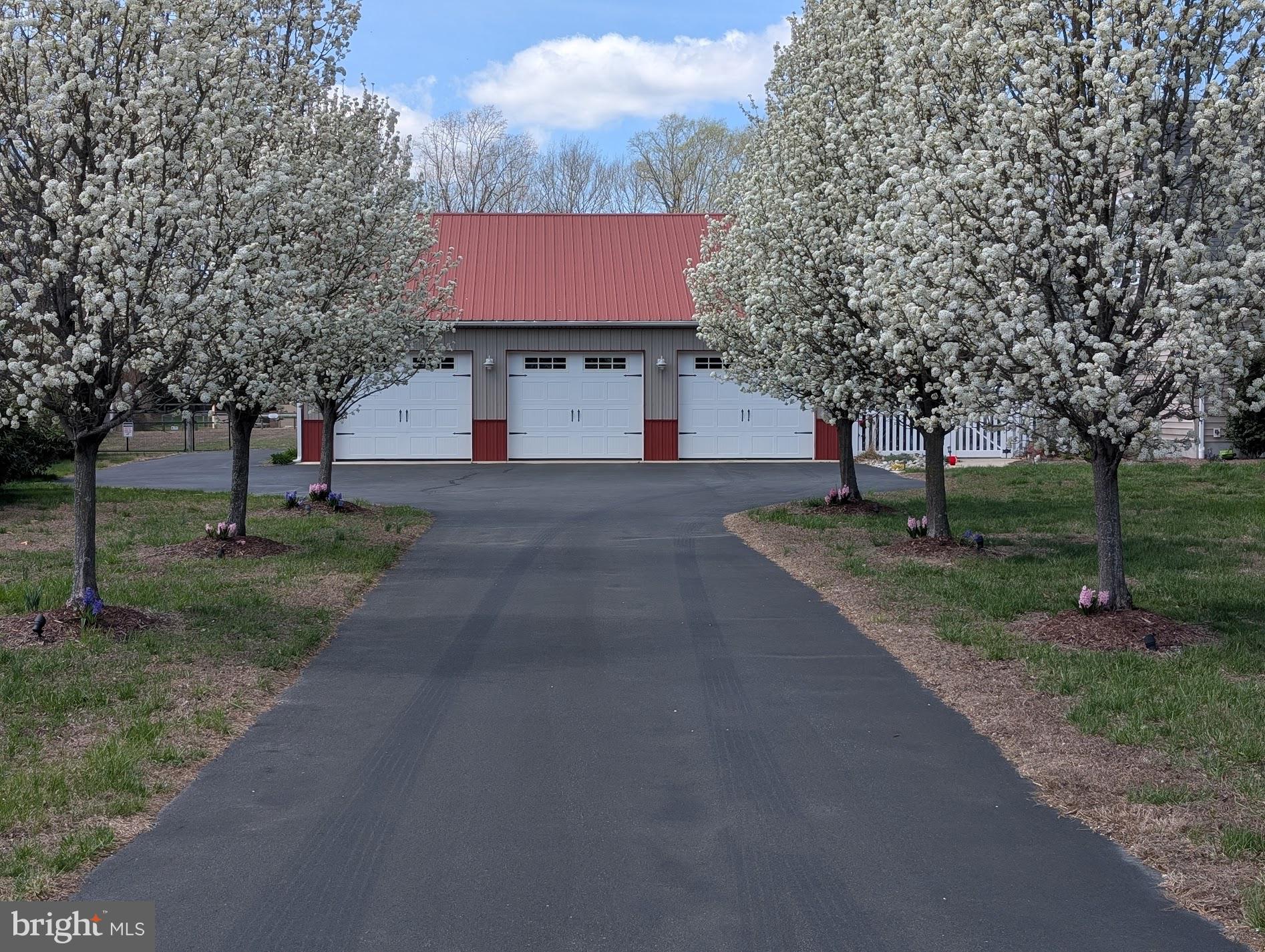 20346 Cool Spring Road Milton, DE 19968 - Photo 67 of 67 a view of a yard with tree s