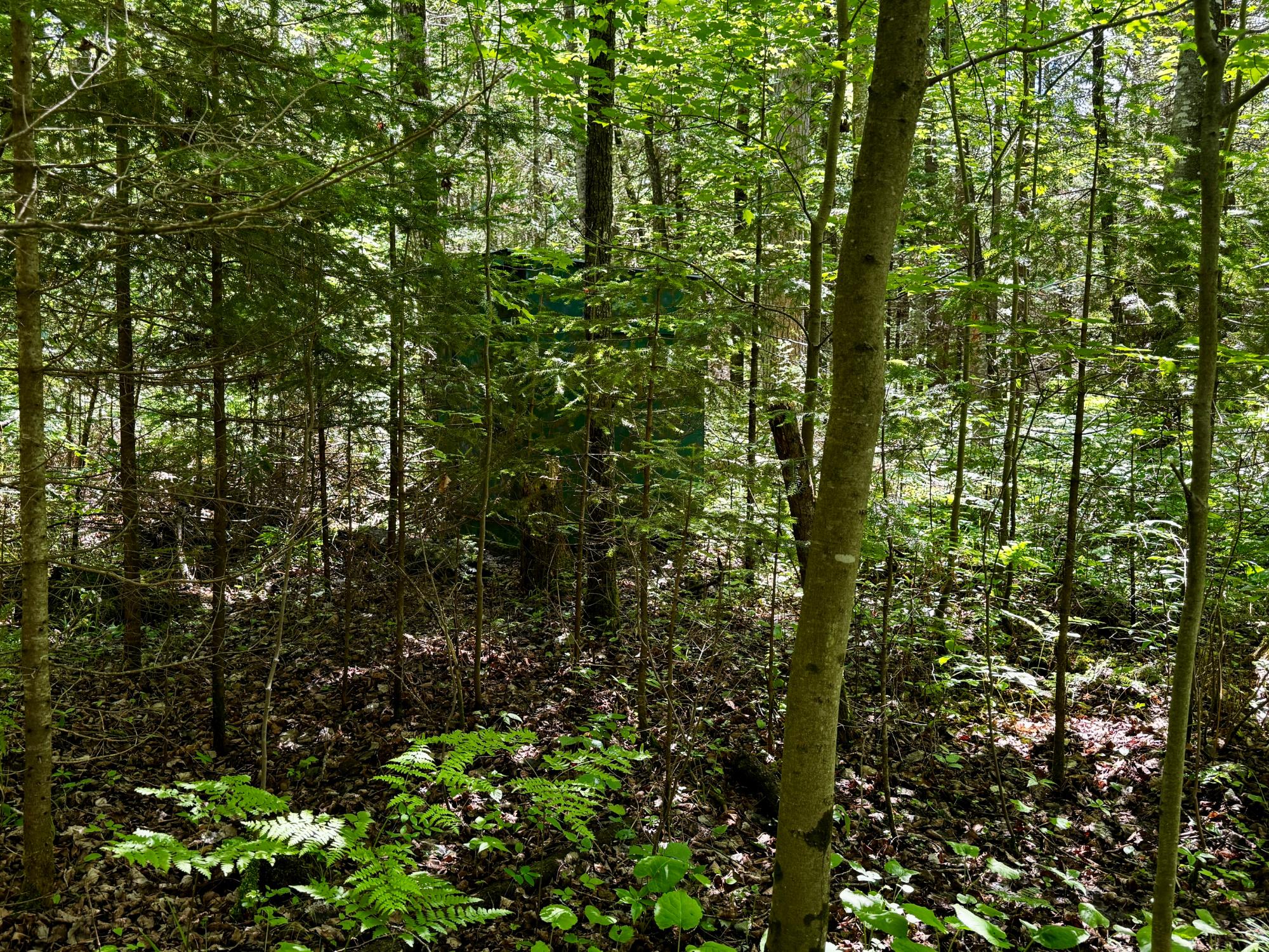Nine Camp 9 Road Minocqua, WI 54548 - Photo 15 of 37 Gallery Image 15