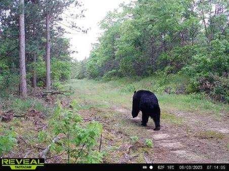 E20244 Cty Road Augusta, WI 54722 - Photo 20 of 27