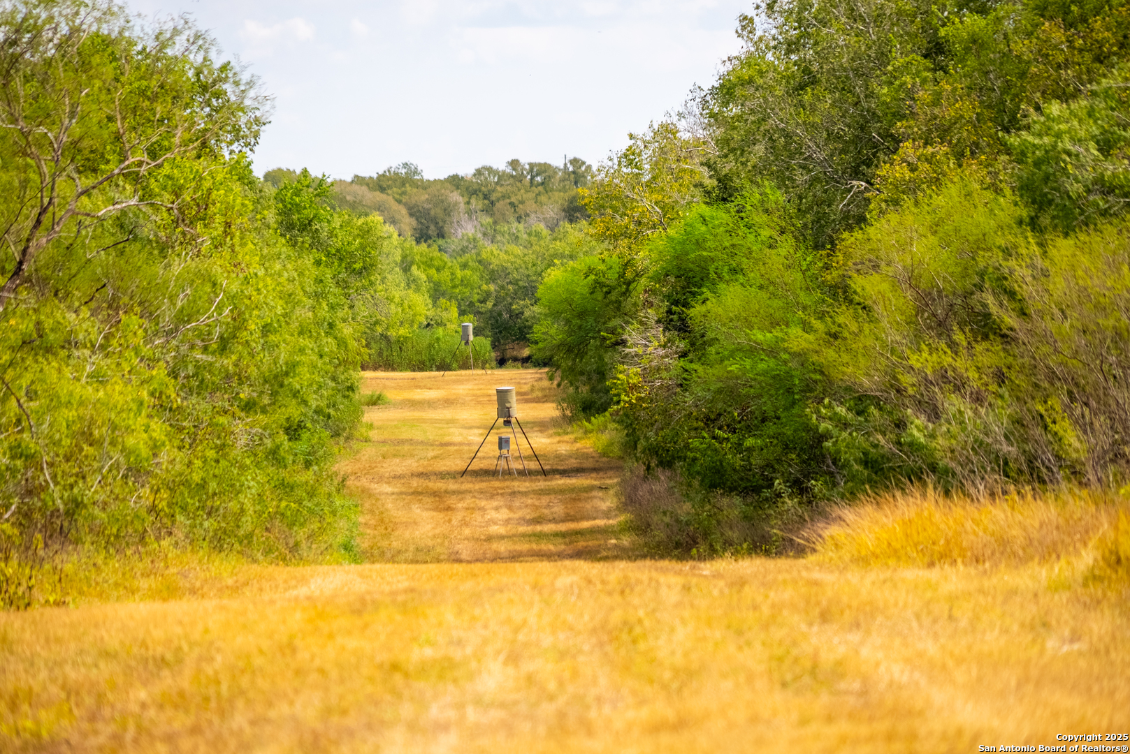 0 County Road 332 Runge, TX 78151 - Photo 33 of 44 a view of ocean