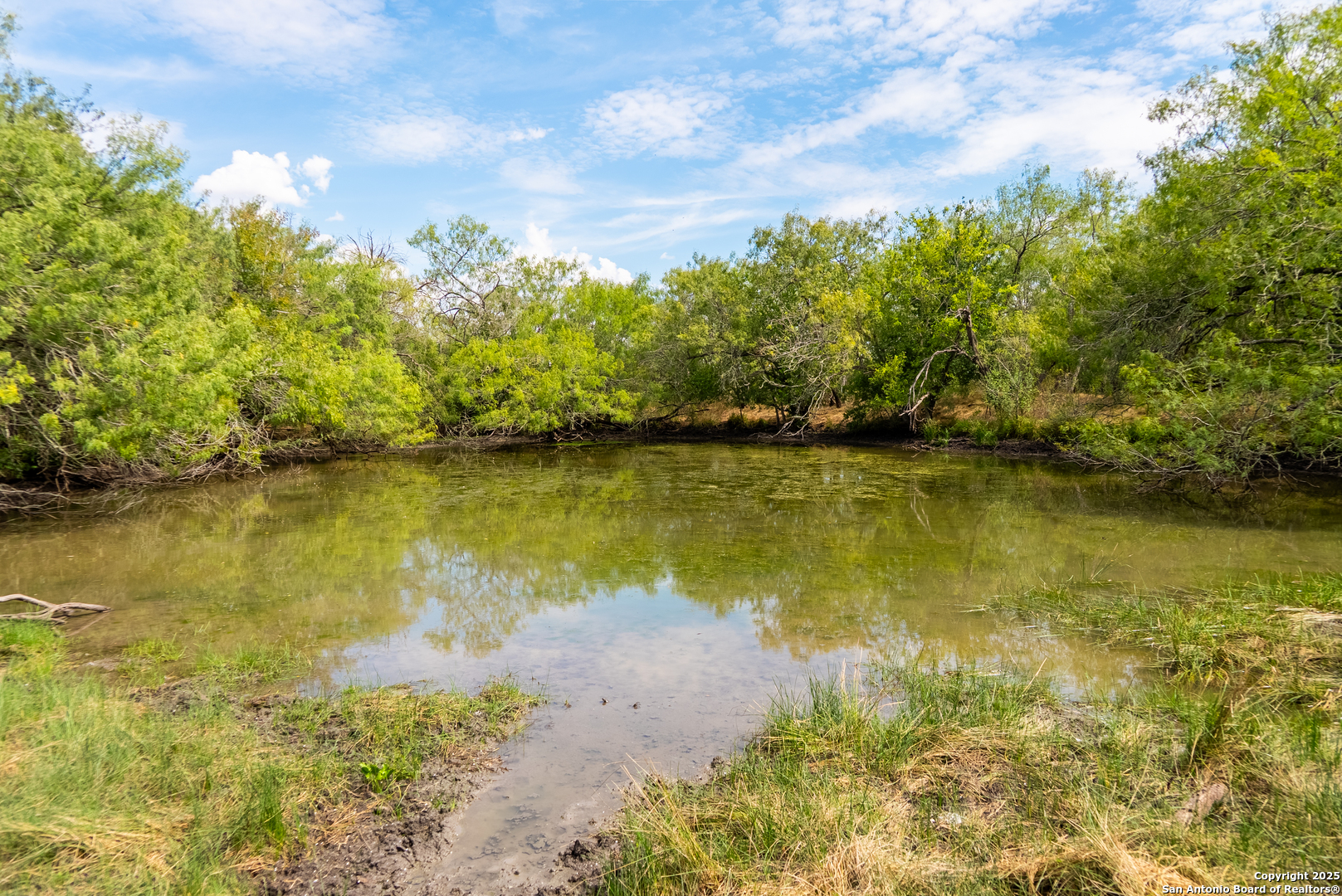 0 County Road 332 Runge, TX 78151 - Photo 36 of 44 a view of a lake with a big yard
