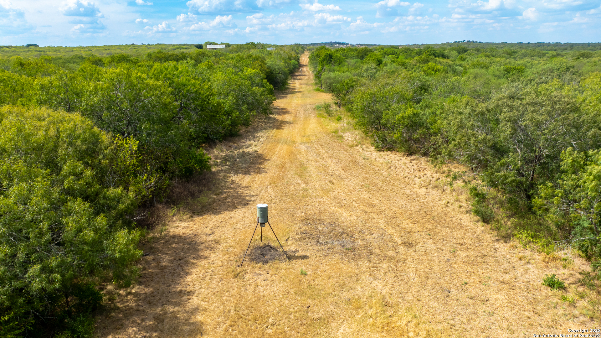 0 County Road 332 Runge, TX 78151 - Photo 39 of 44 a view of a yard