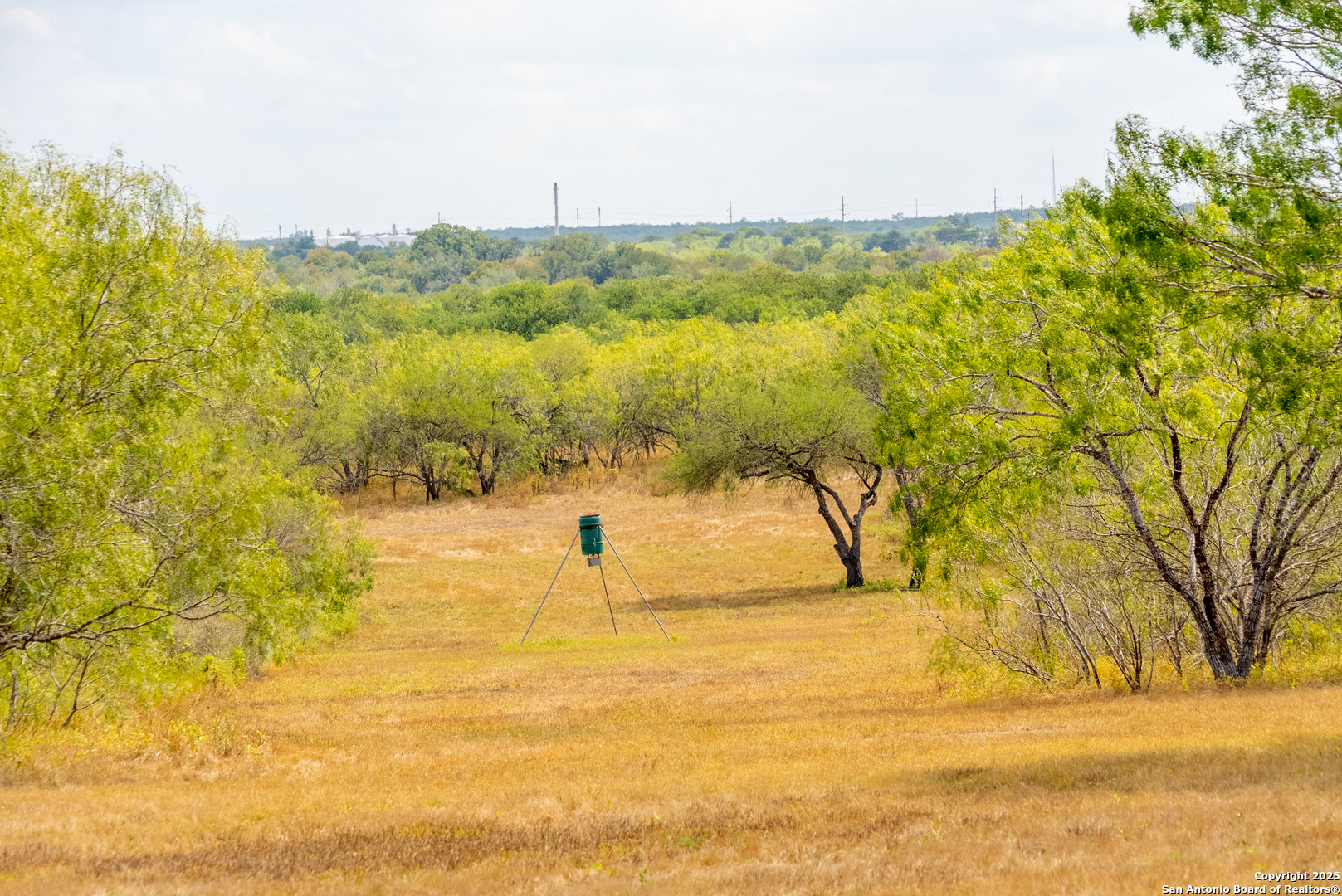 0 County Road 332 Runge, TX 78151 - Photo 7 of 44