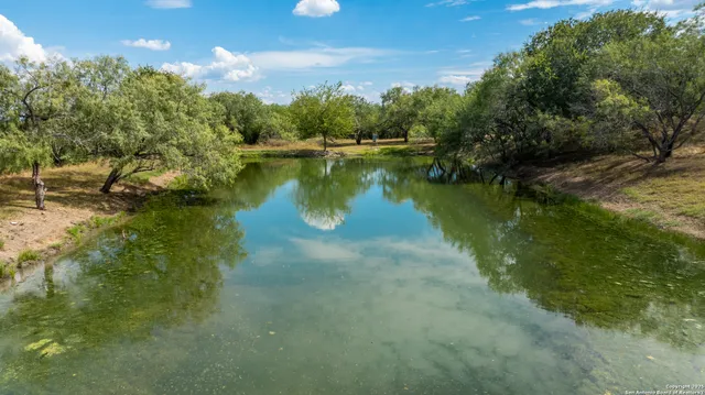 a view of a garden with a lake