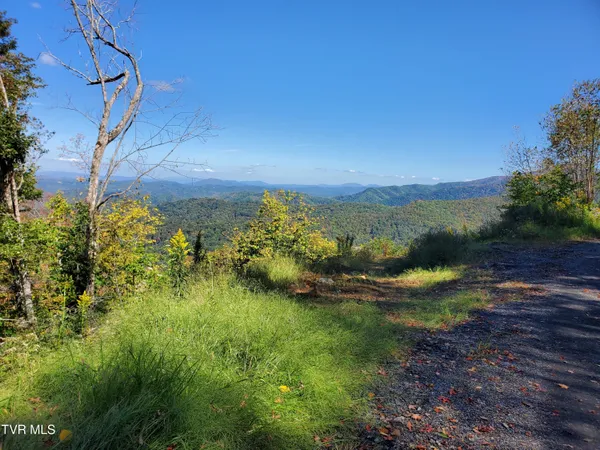 $347,000 | 0 Cloudland Drive, Unit 5, Roan Mountain, TN 37687