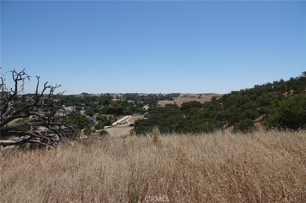 7950 Blue Moon Road Paso Robles, CA 93446 - Photo 25 of 26 Hilltop view