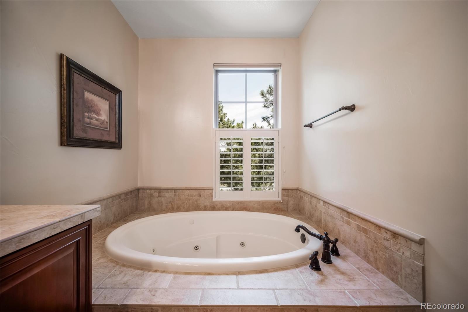 4316 Chateau Ridge Road Castle Rock, CO 80108 - Photo 25 of 39