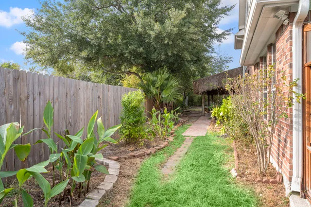 a view of a garden with plants