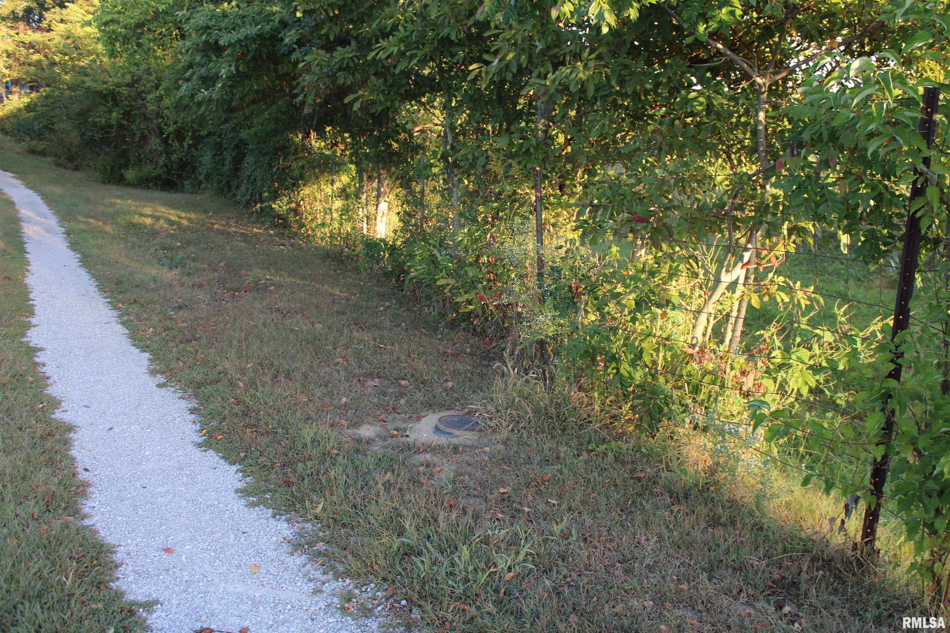 8604 Ridge Road Sparta, IL 62286 - Photo 13 of 42