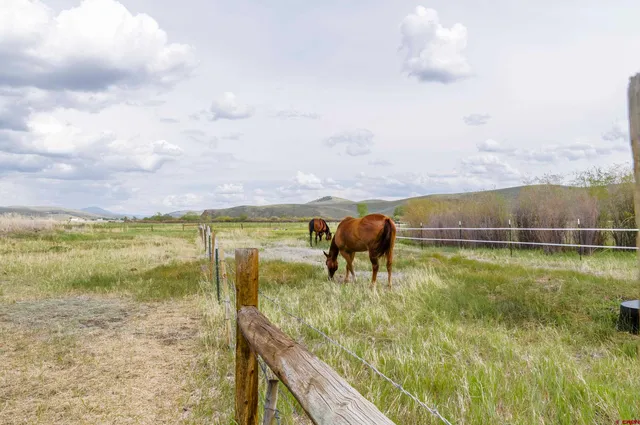 a view of an ocean from a balcony